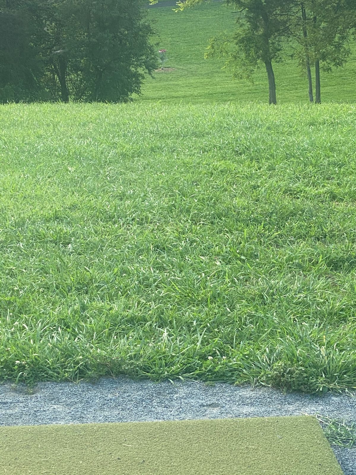 Hole 13 fairway