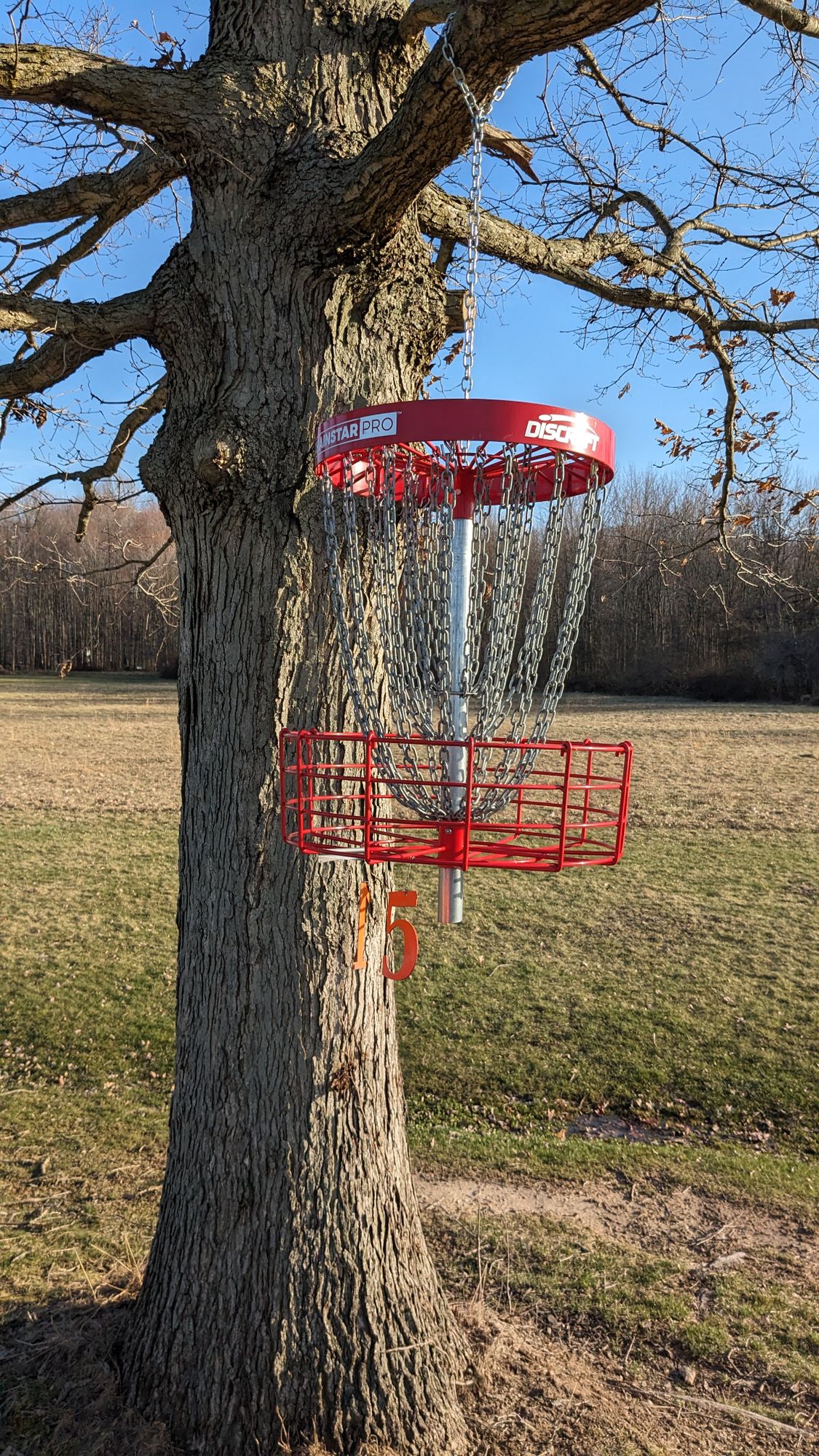 Hanging basket on Hole 15