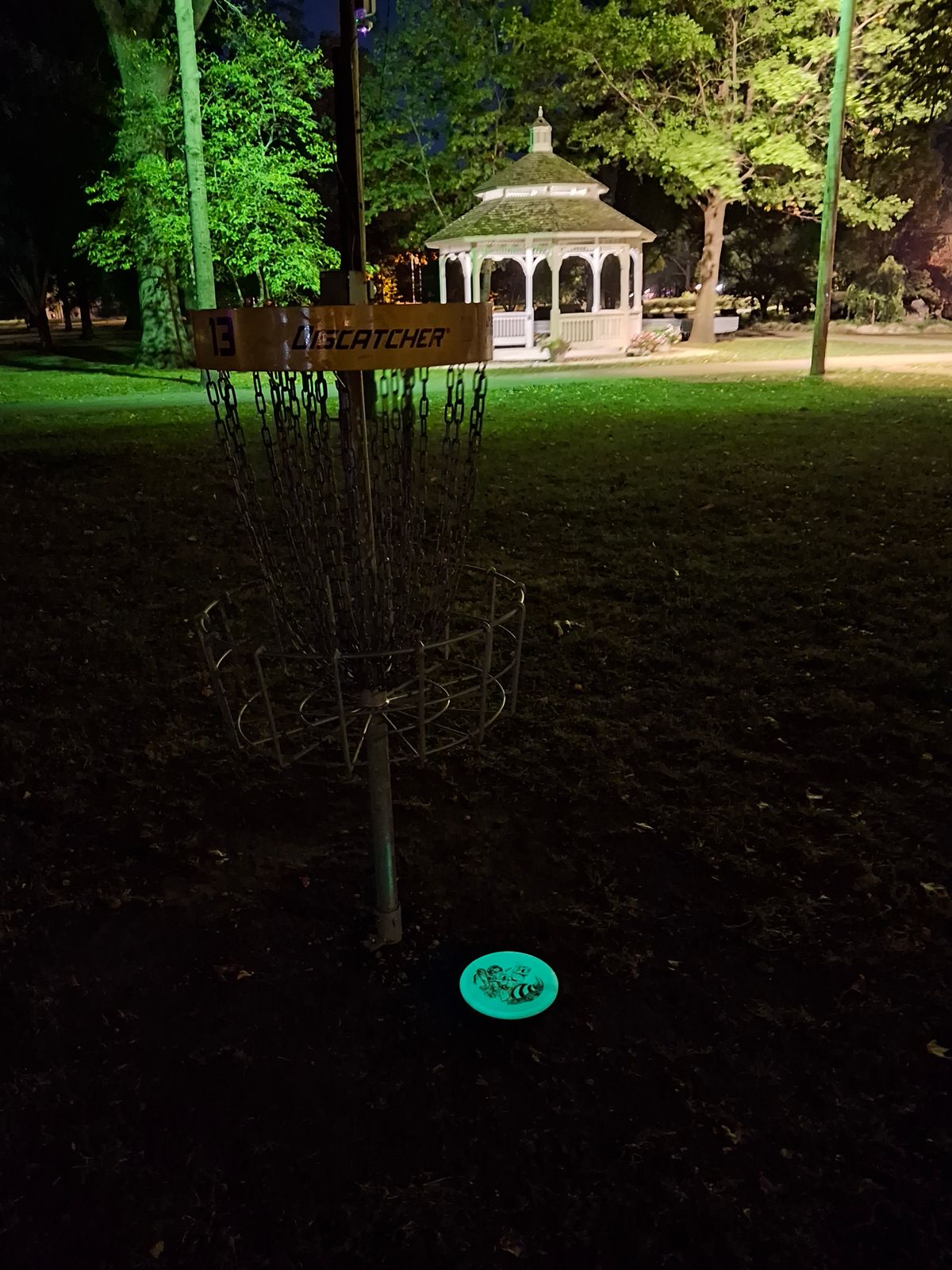 Hole 13 basket in the dark.