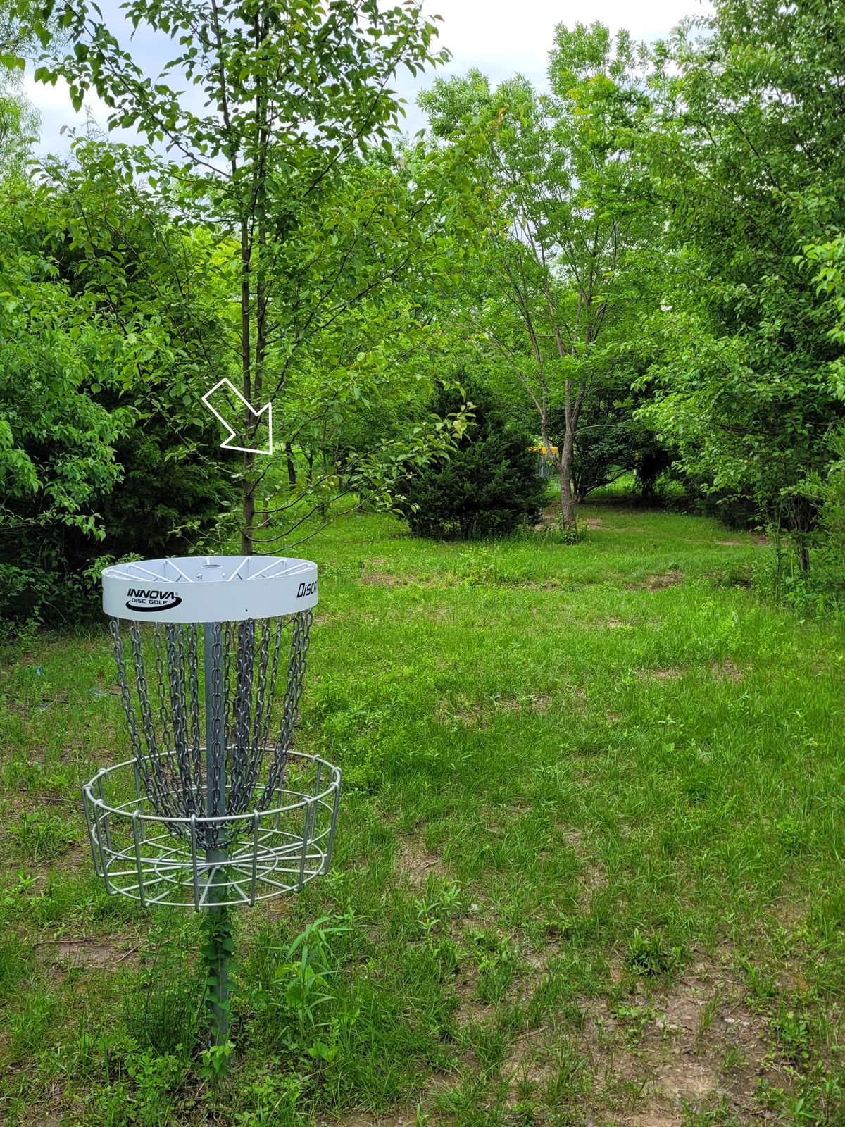 Hole 16 white basket to tee