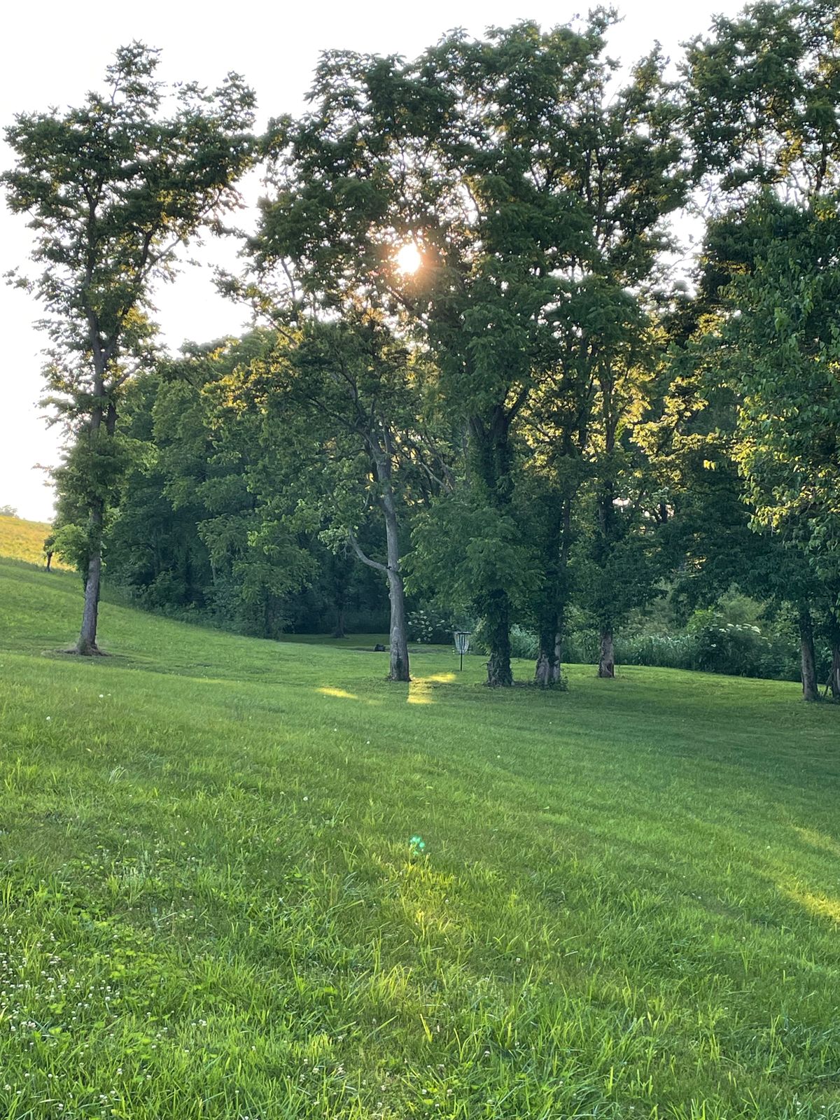 Hole 4 Green