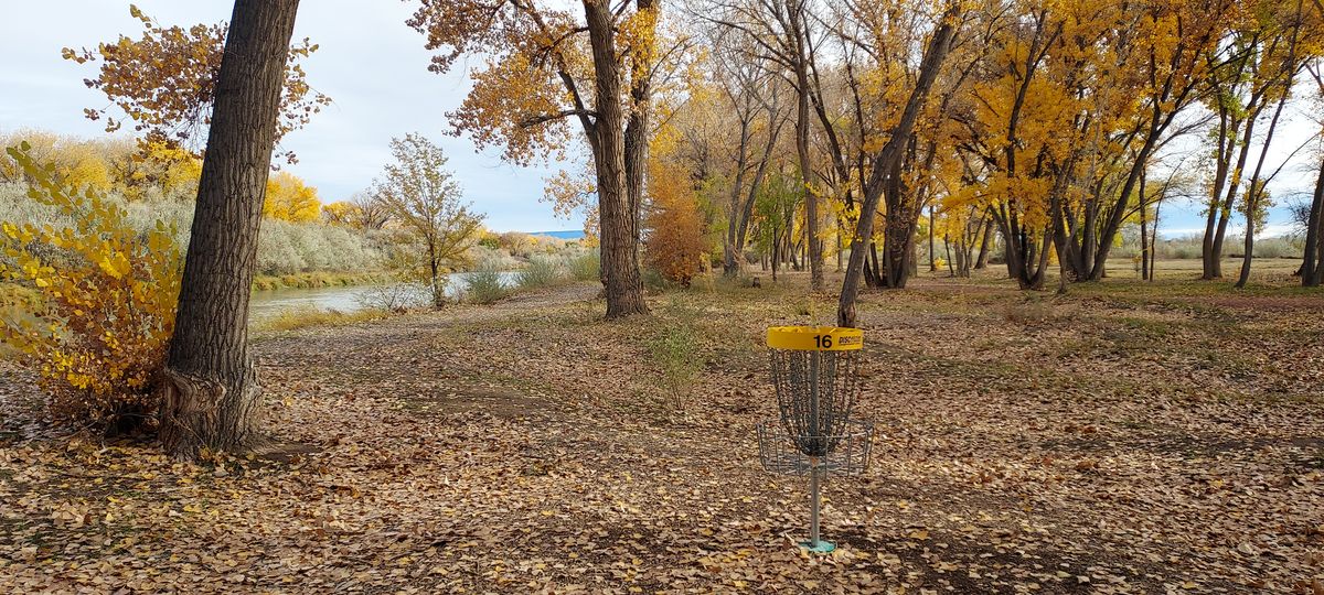 Nice fall colors in early November