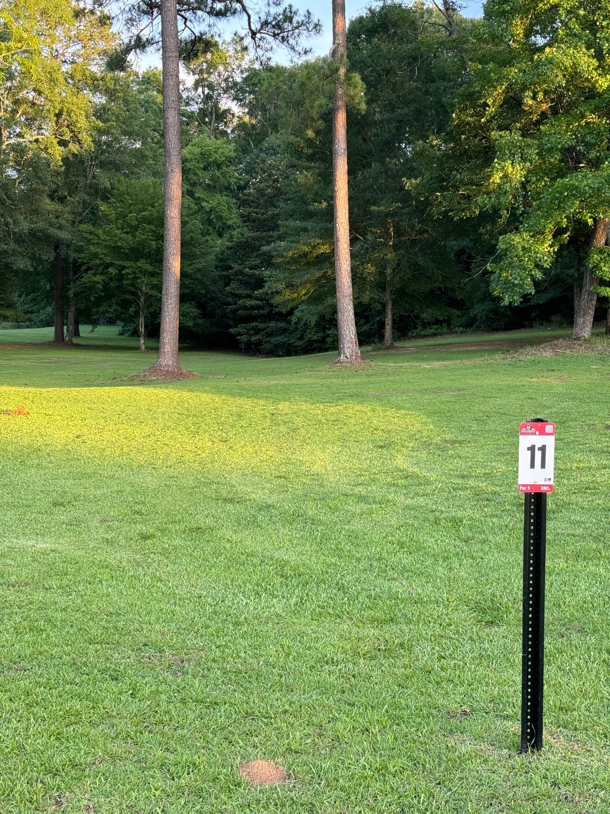 Hole 11 – Par 3