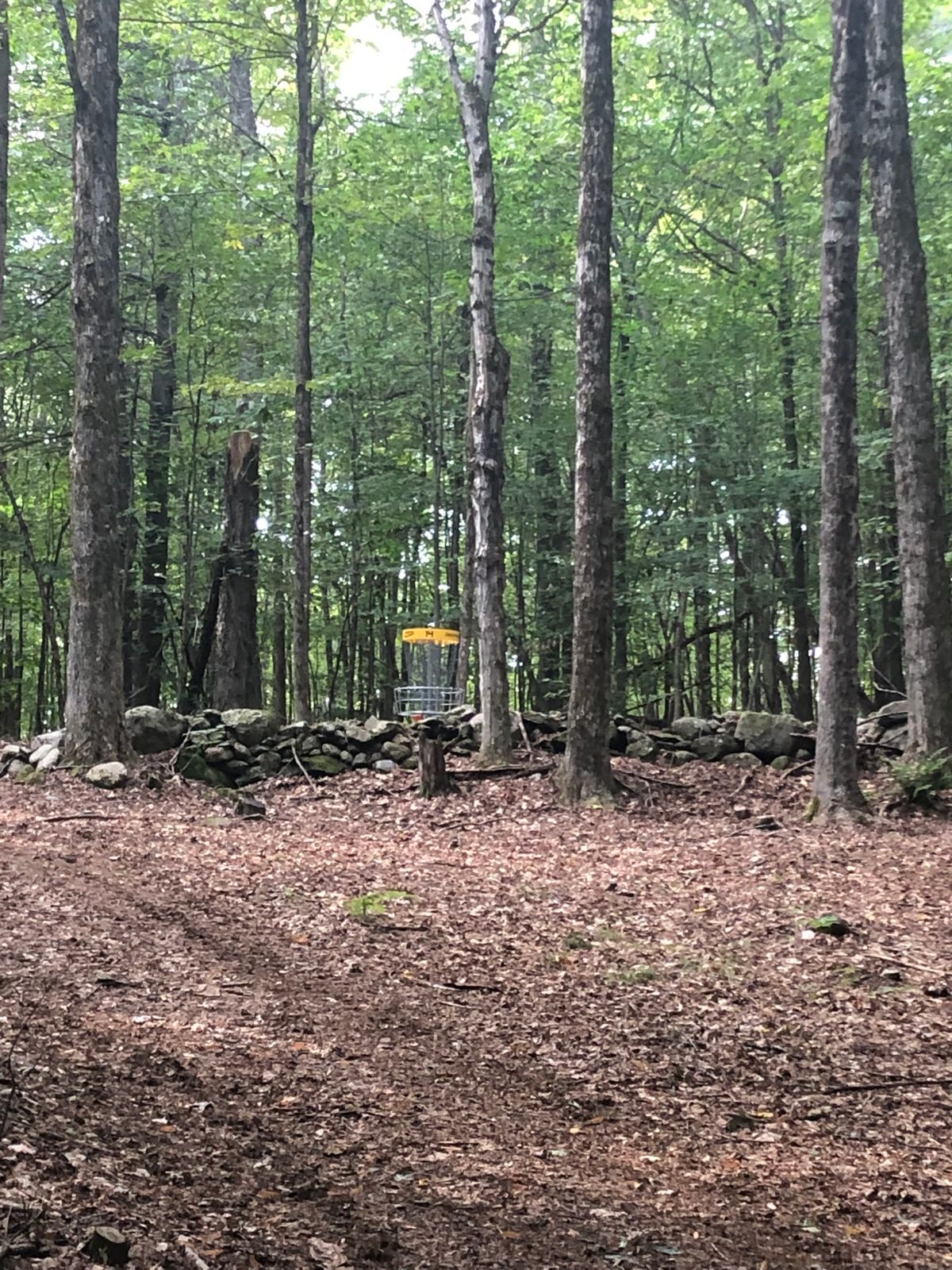 14 Approach