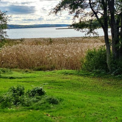 Väylä 9. greeni
