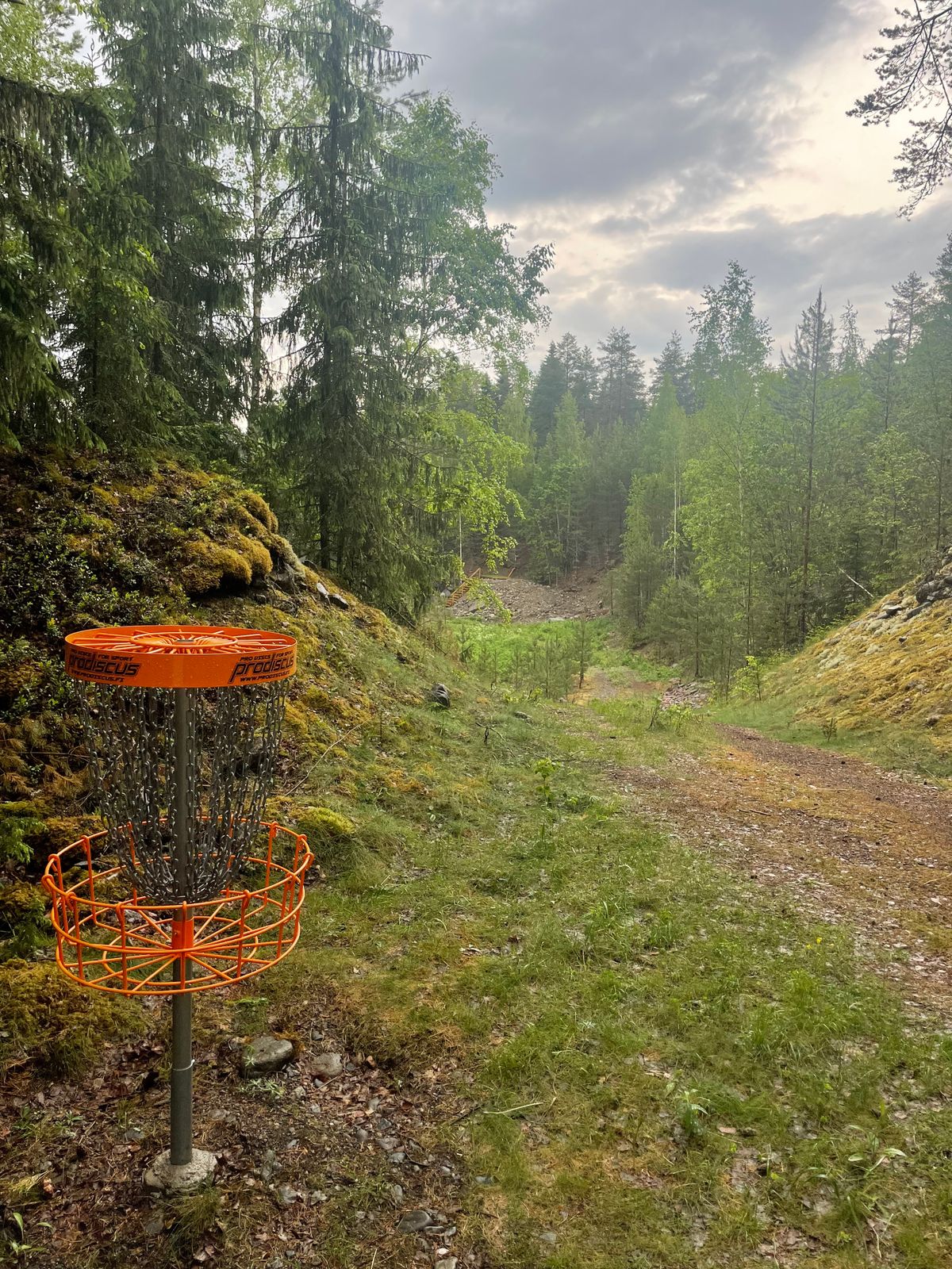 Väylä 1 korilta tii:lle