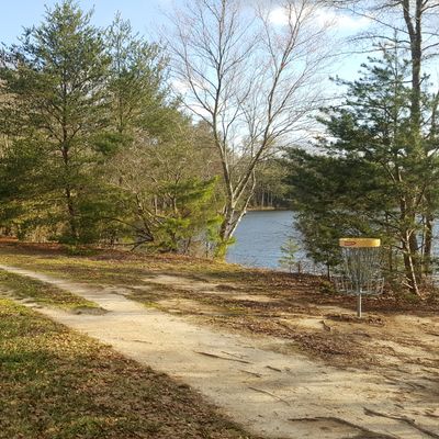 7th basket is back towards the lake. This shot is looking back at the tee pad.
