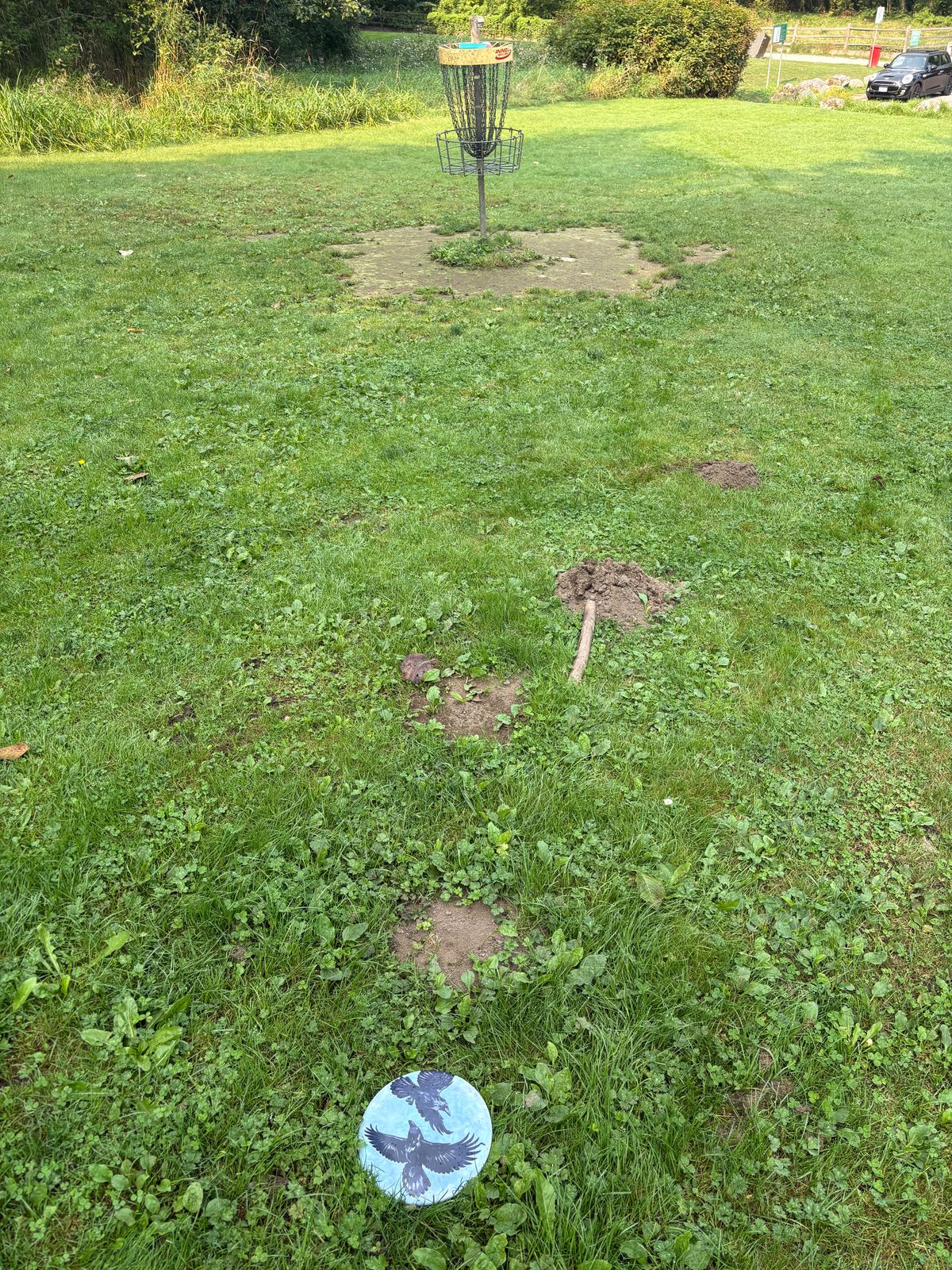 Through the middle of the right tree on 10 and out the other side. Landed here!