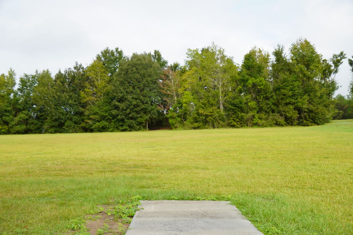 Hole 3 - basket in the gap in the woods