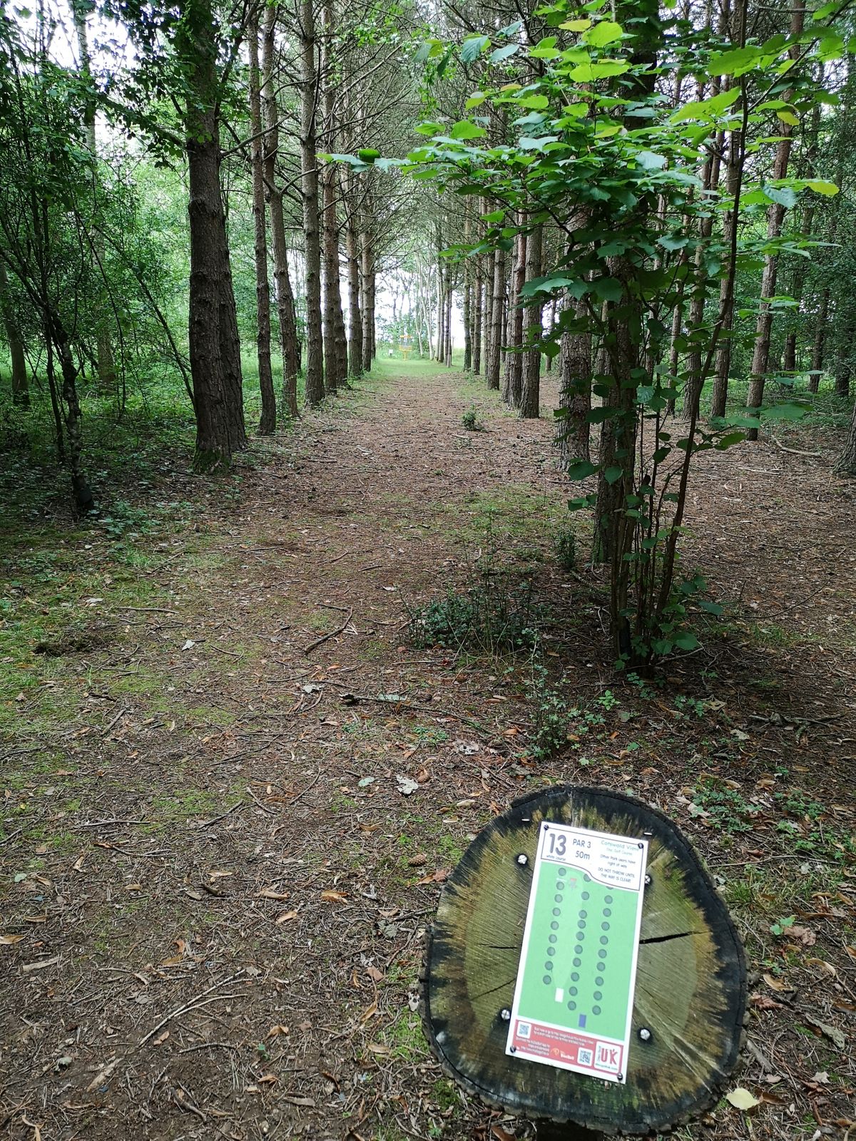 View from White Tee Hole 13