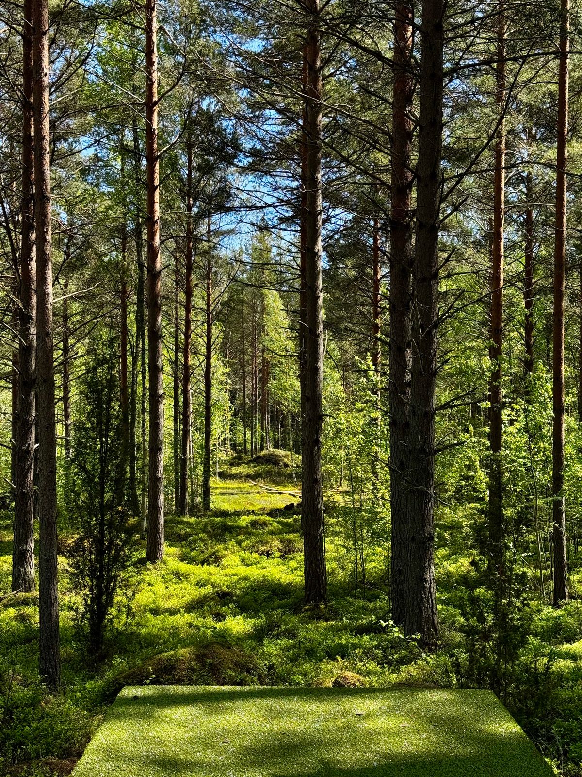 Väylä 6 tee