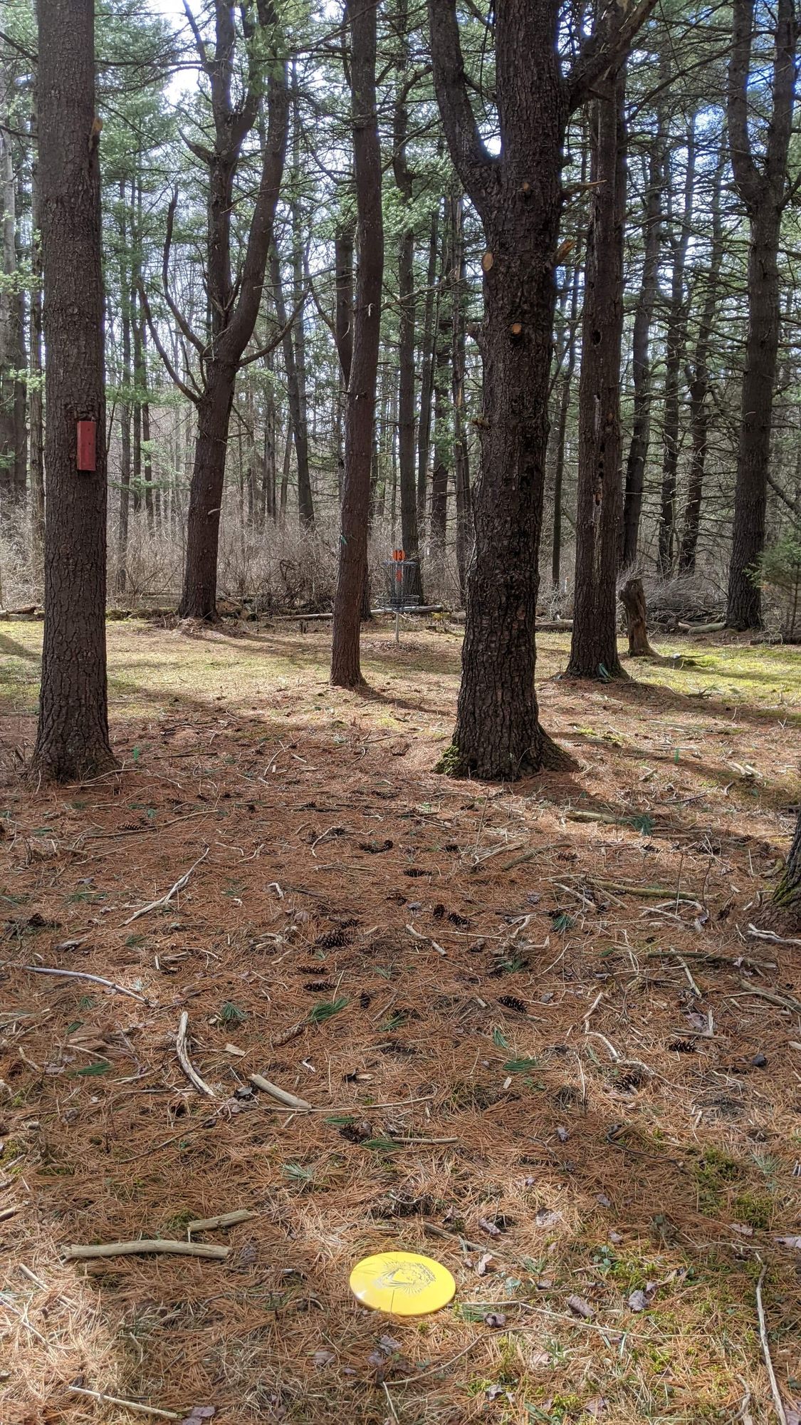 Hole 13, approaching the green.