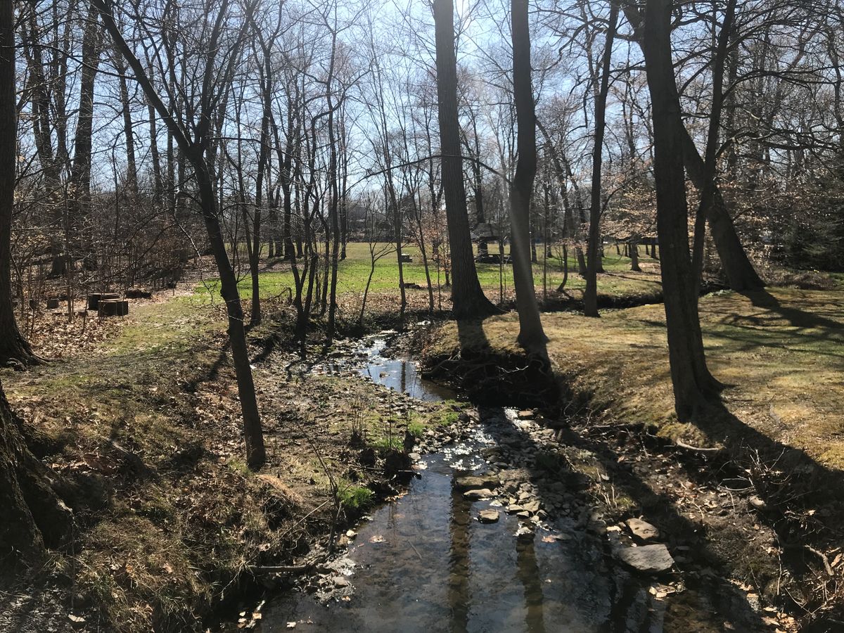 Tee Box #12 on the left with Basket #11 behind it in the woods. Basket #15 right of the pavilion.
