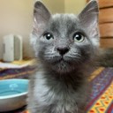 User avatar image