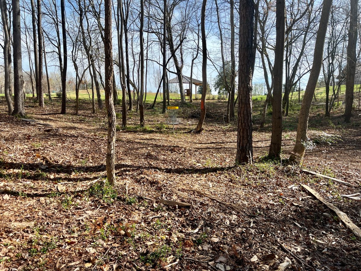 Hole 14 approach
