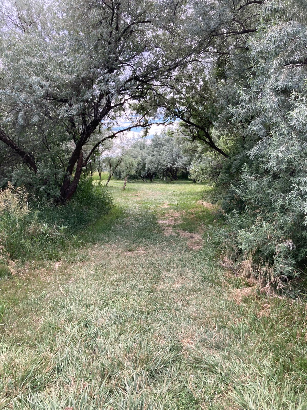 Hole 15