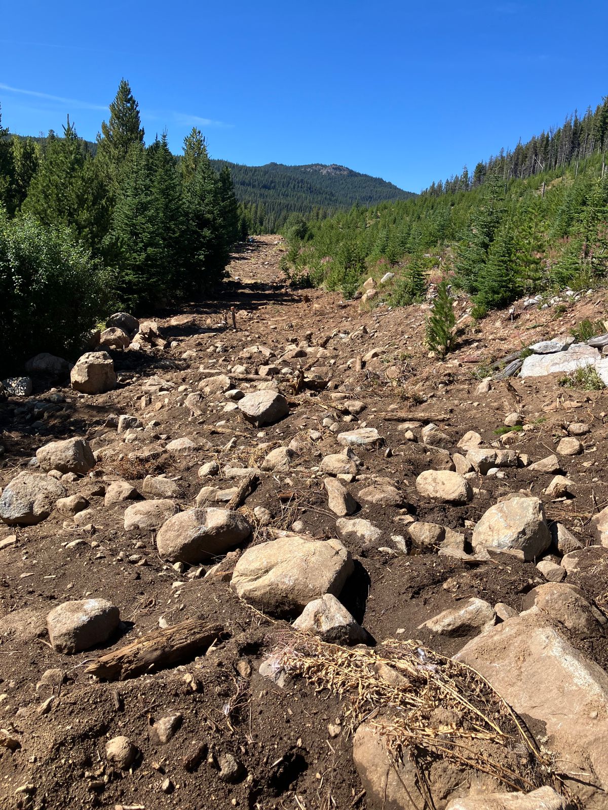 Taken from around the 7th basket. Hole 8 is in view and both are  exactly the same rocky mess.
