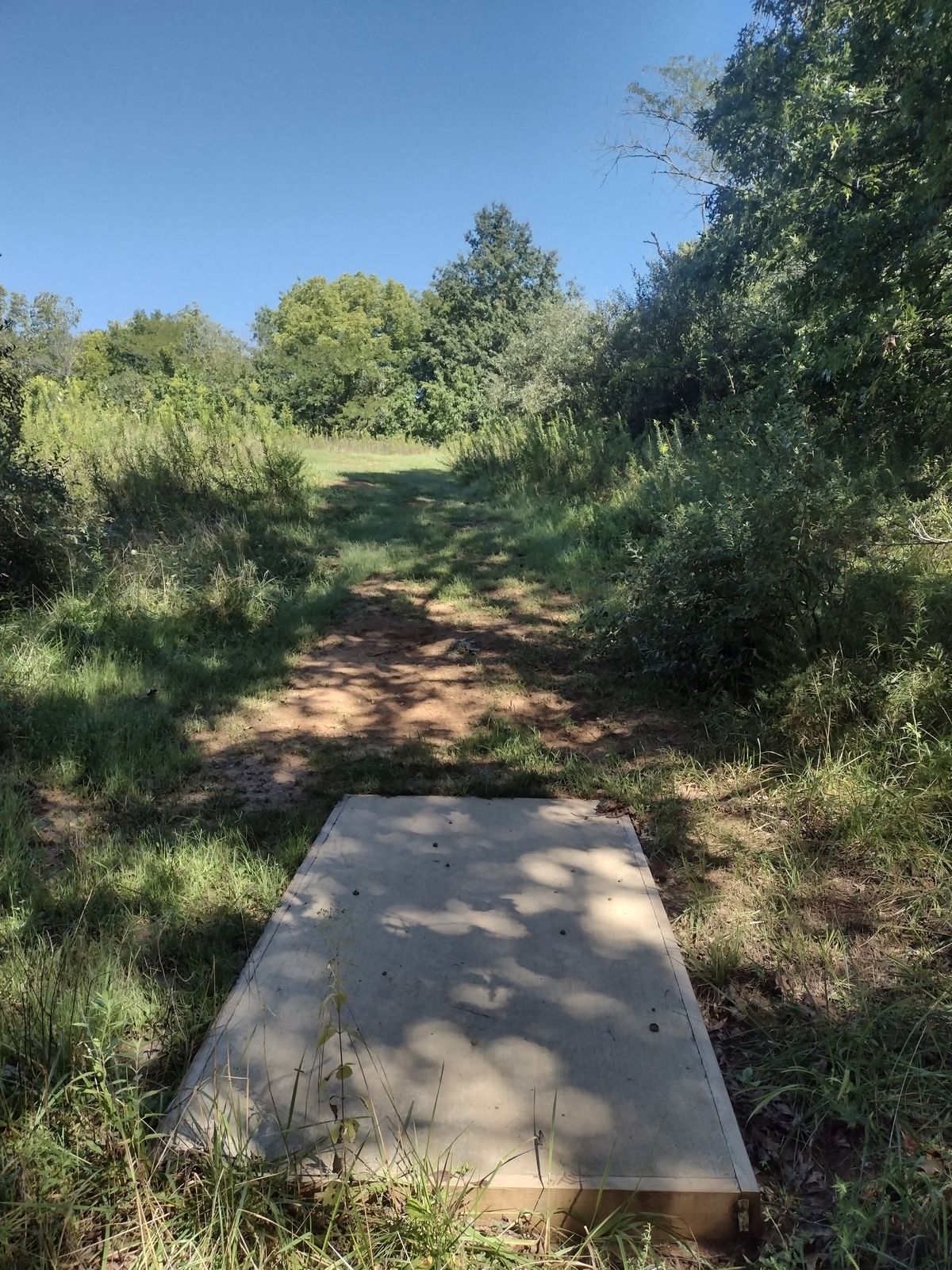 Hole 6 Tee. Basket straight ahead.