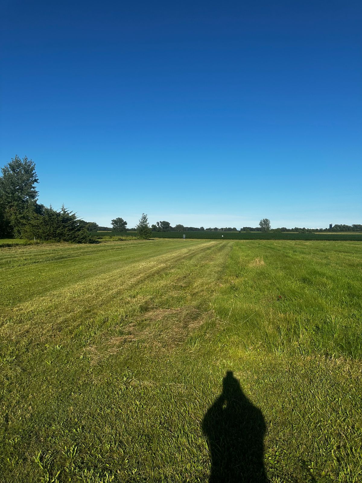 Hole 12 from tee box