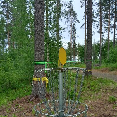Väylän 1 kori