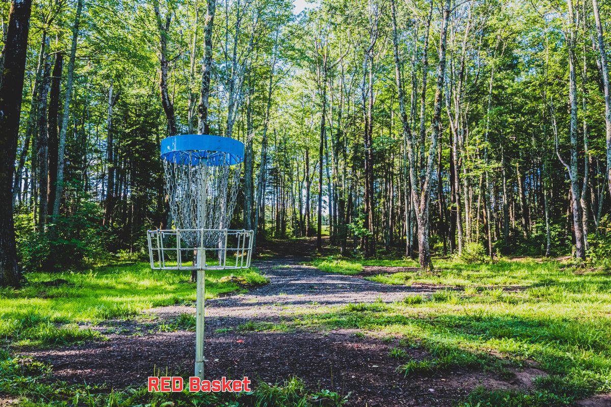 Hole 9 Red Basket looking towards tees. 