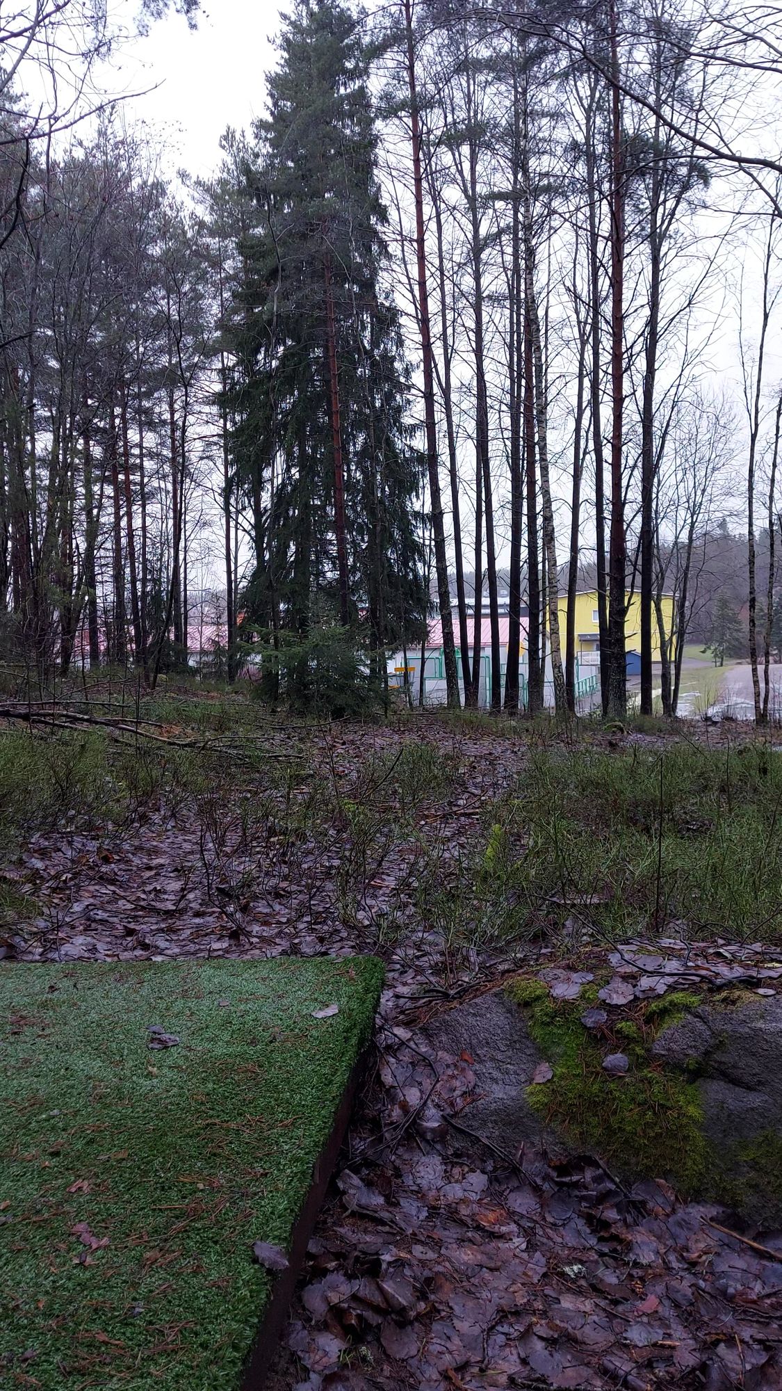 Väylä 5