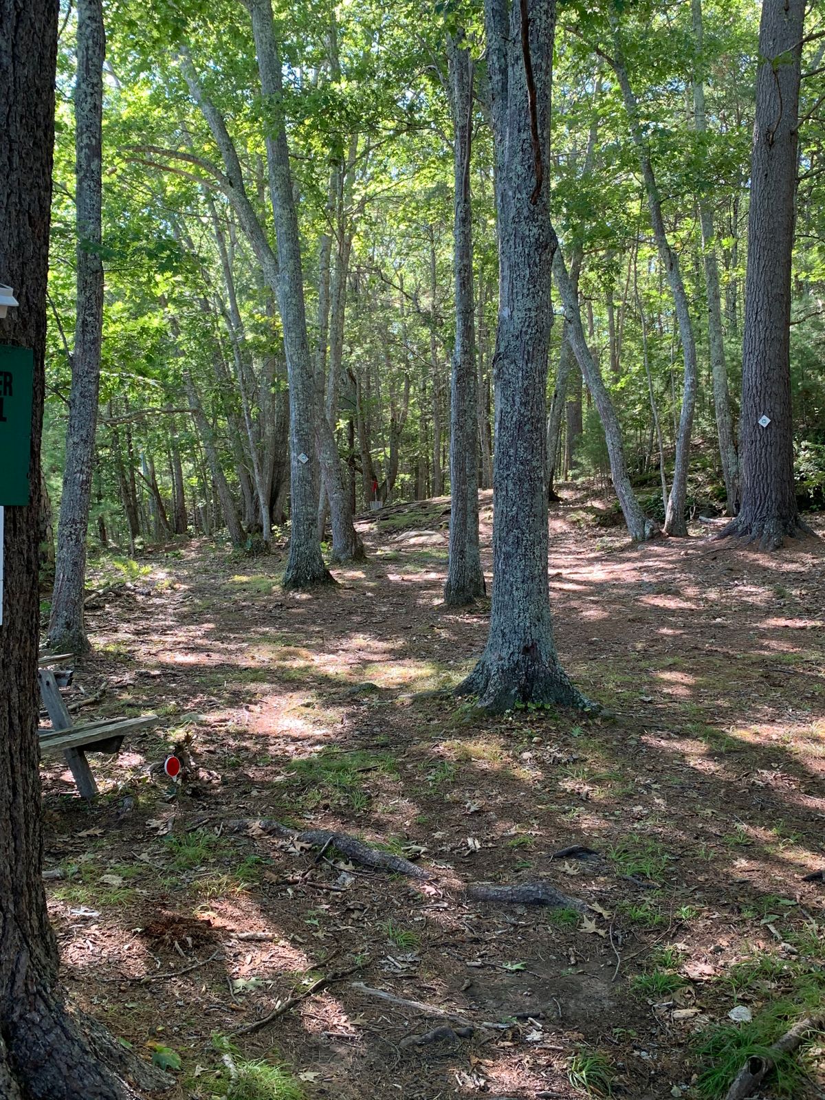 Tee shot hole 8