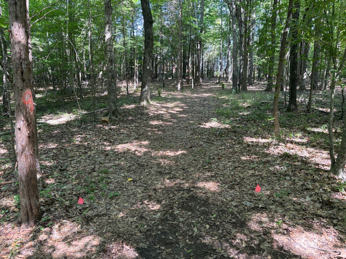 Hole 9