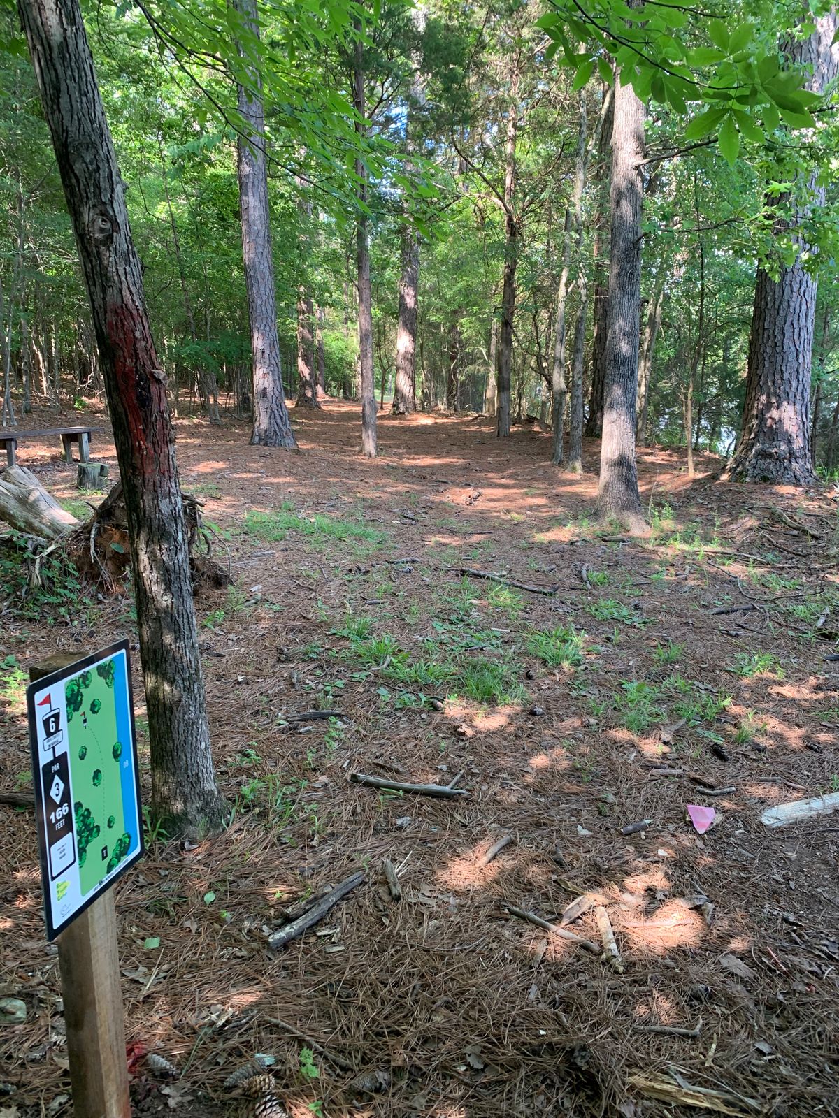 Hole 6