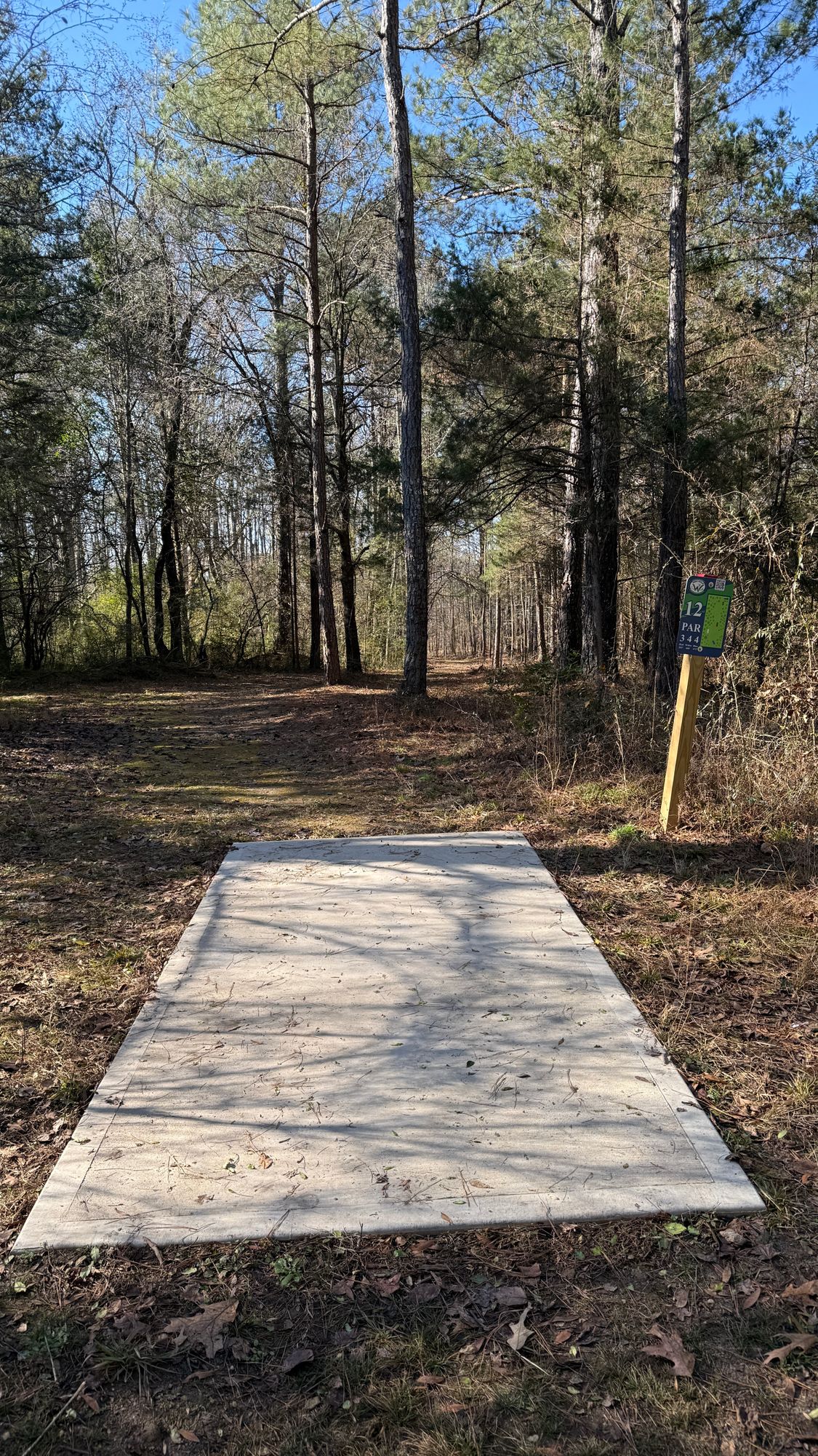 Hole 12 - Reds