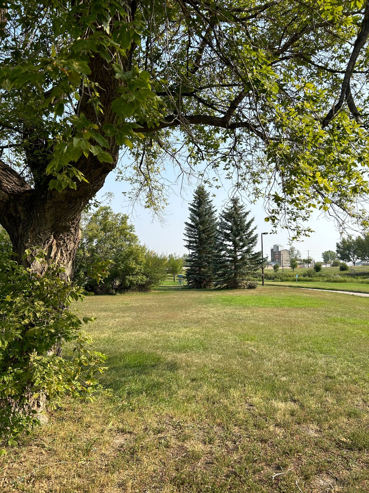 Hole 7