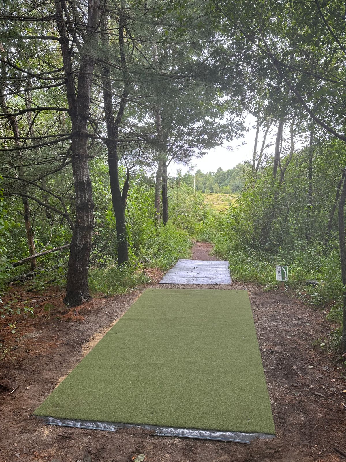 Hole 15 tee