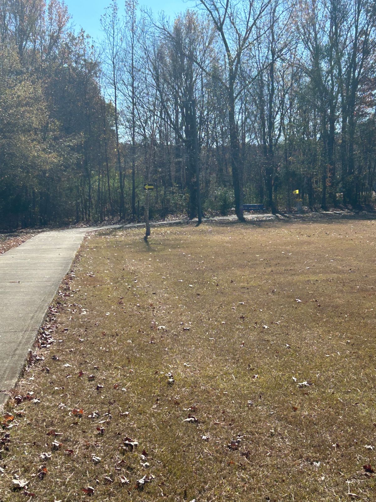 Hole 6 basket