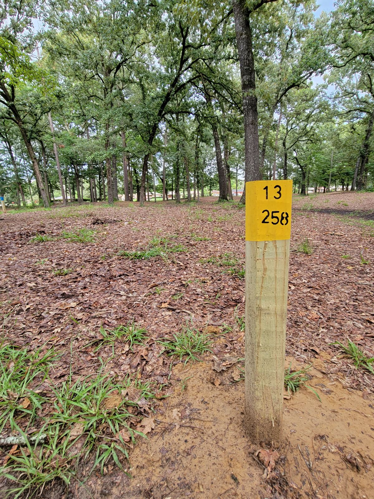 13th tee