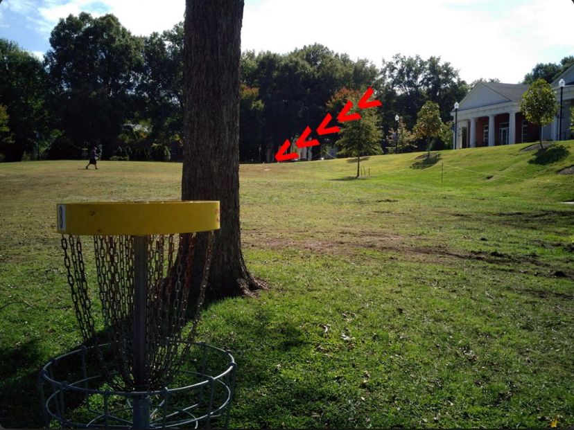 #8 basket to tee
