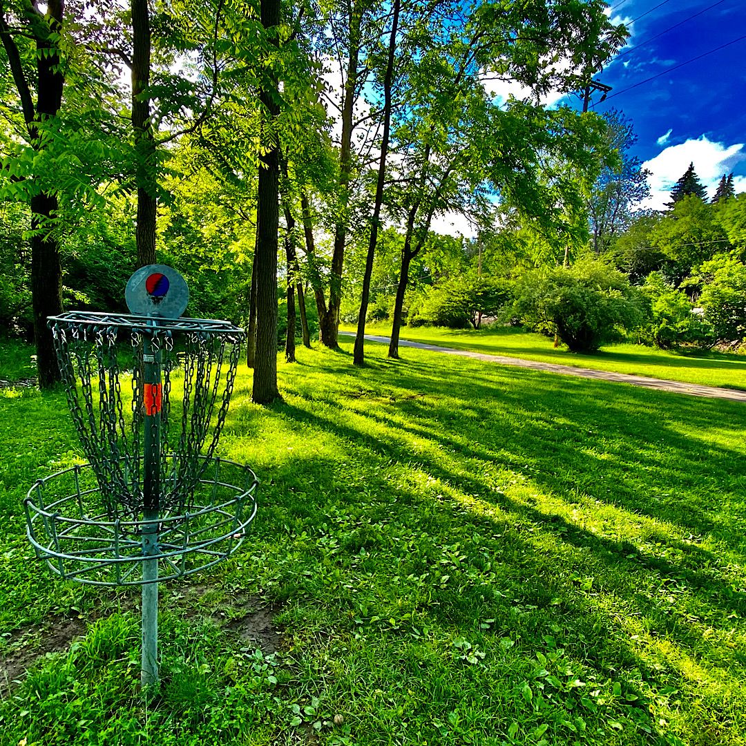 Hole #8 Basket to Tee