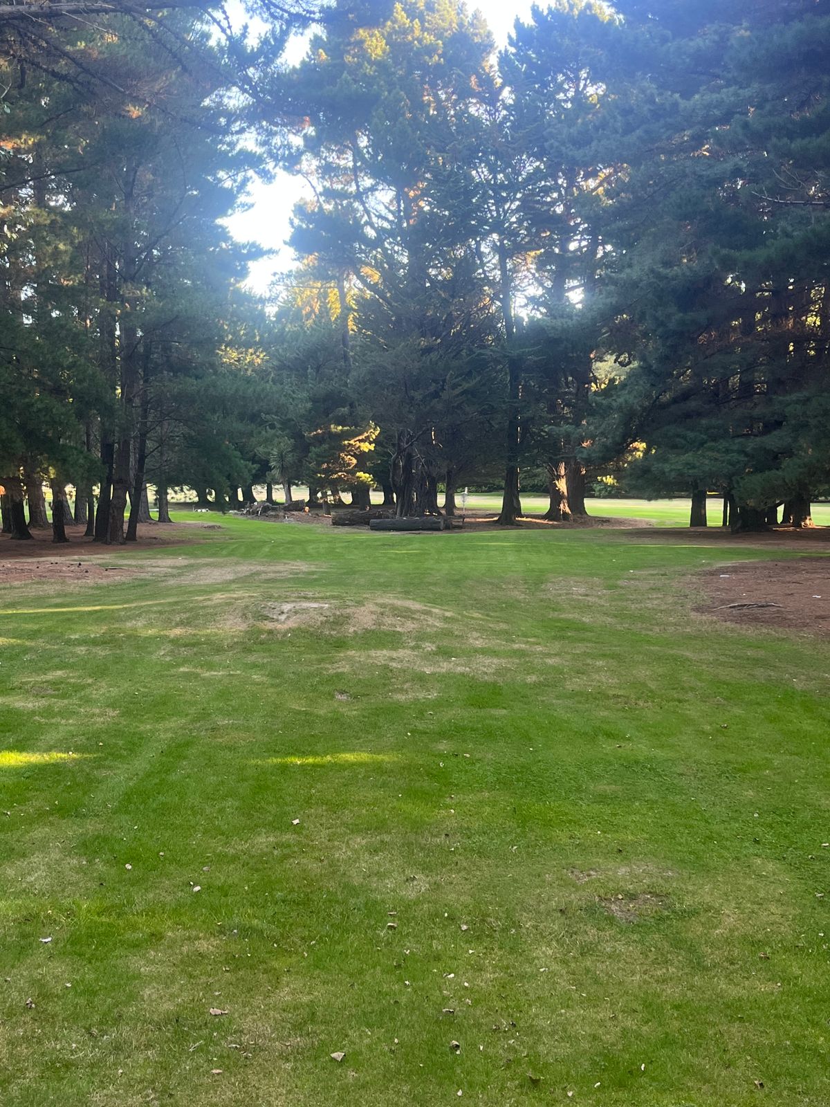 Hole 1 through the guardians