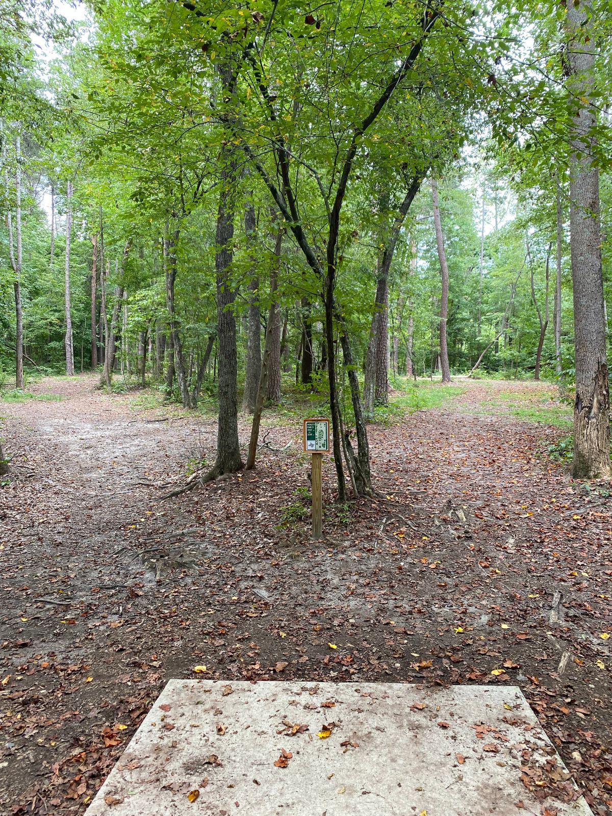 Hole 5
