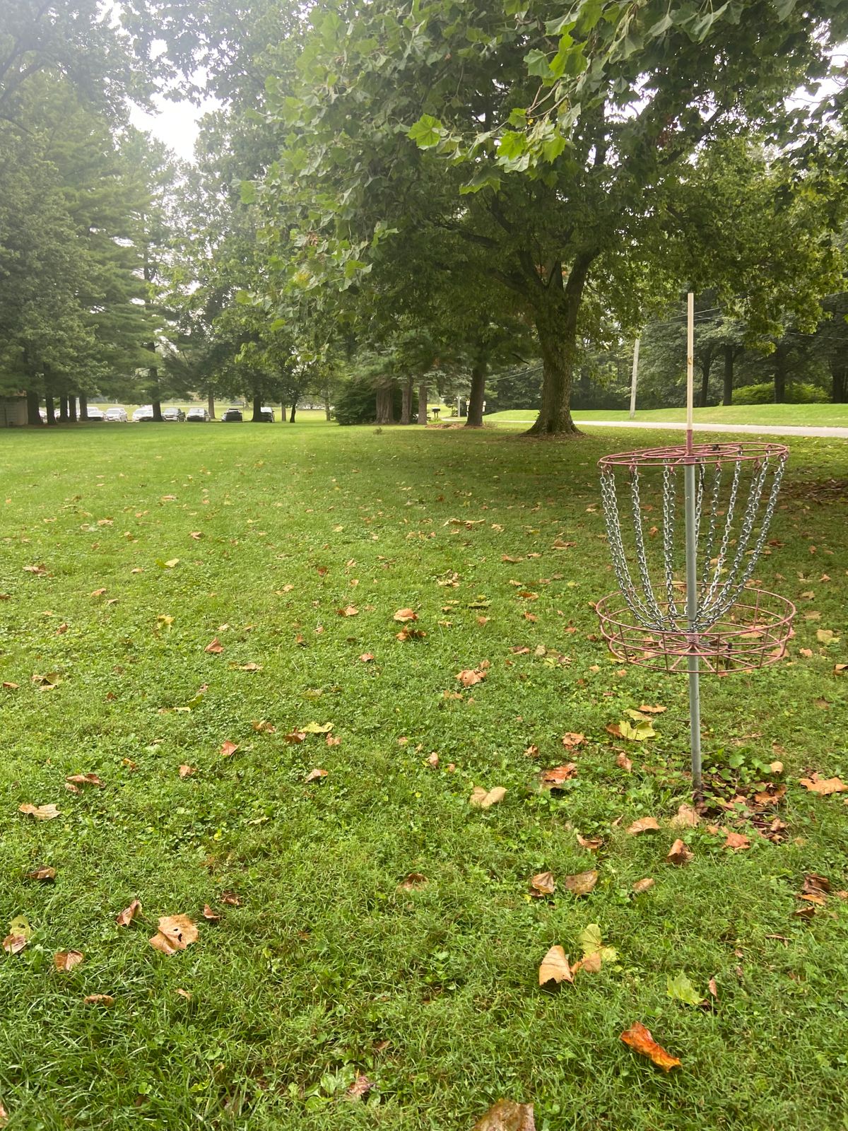 Hole 1 basket looking back to tee pad