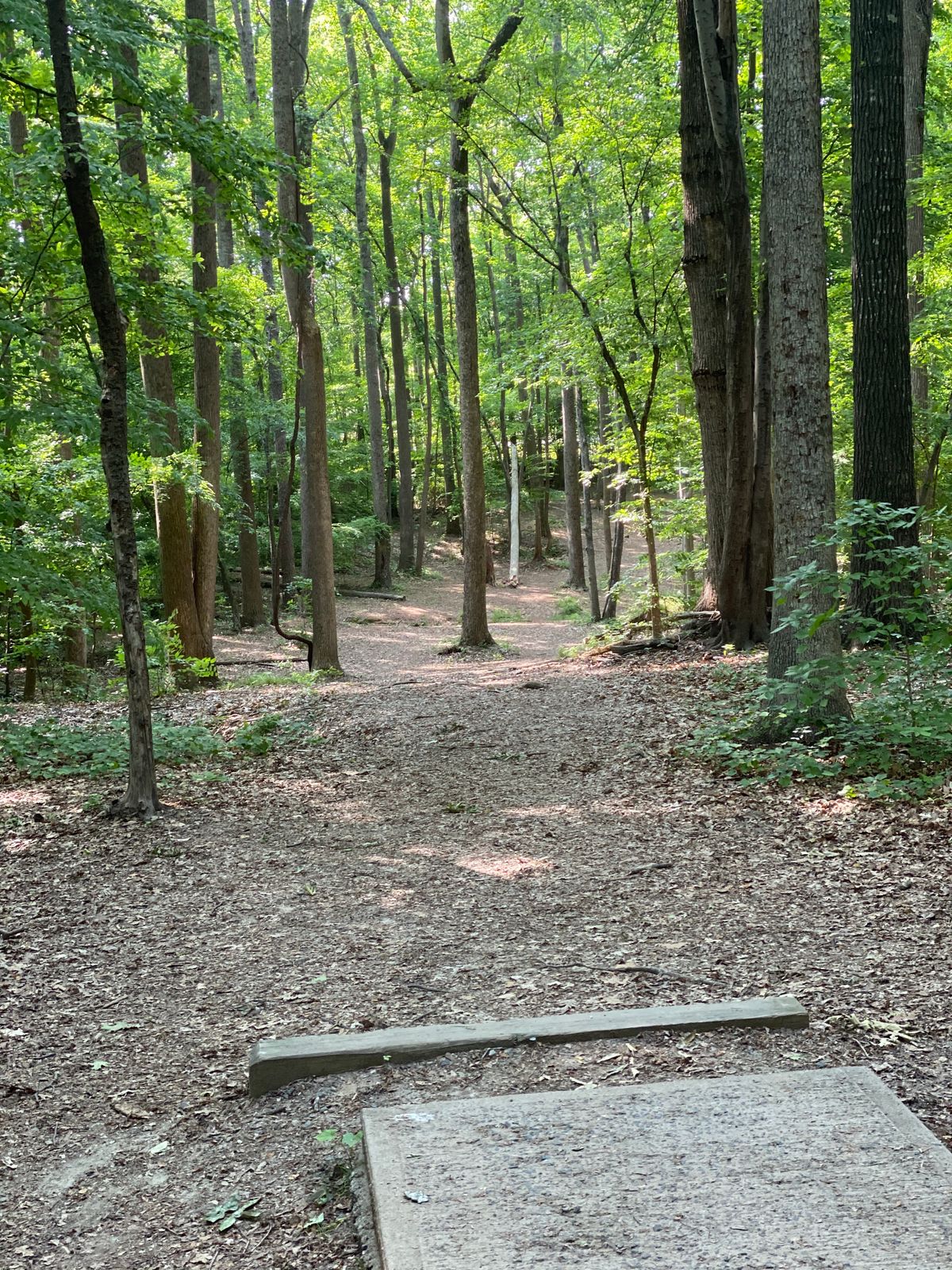 Hole 7 tee