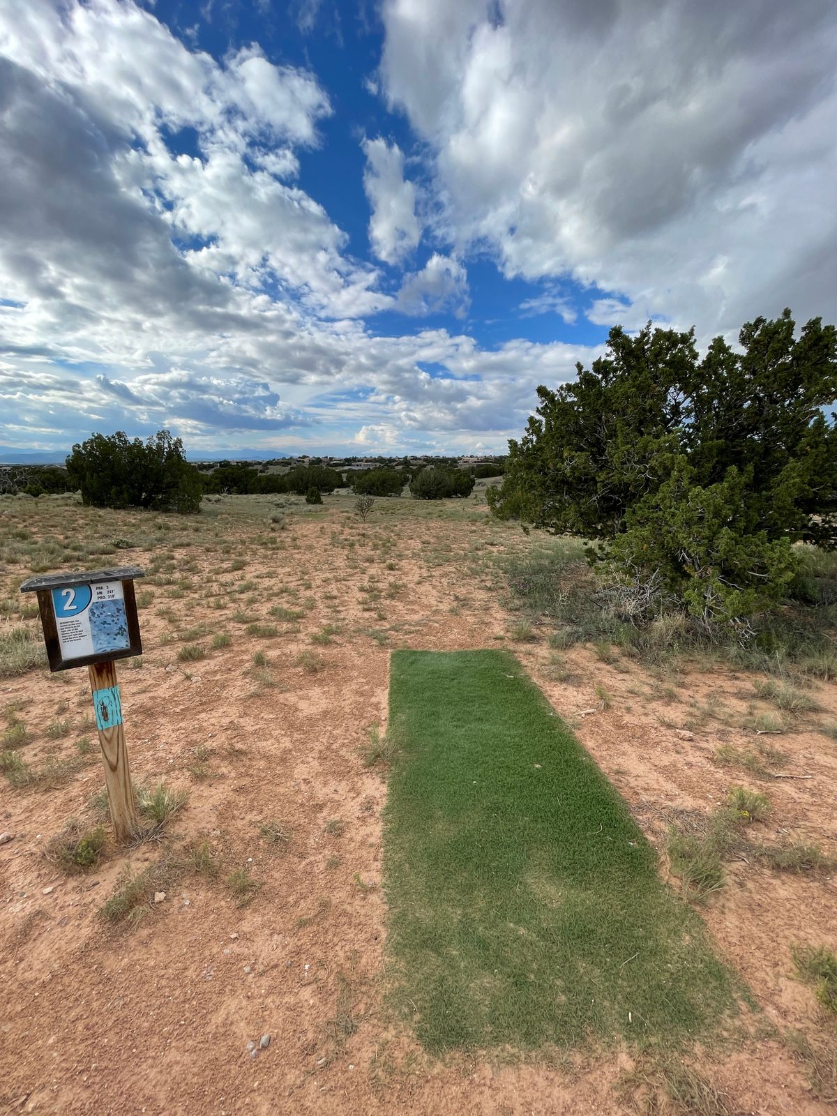 Hole 2 Pro tee pad