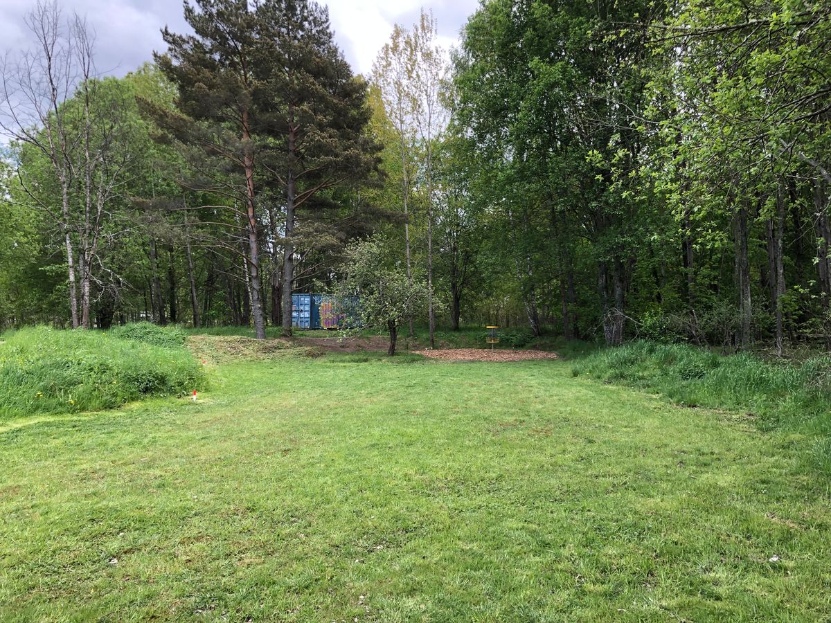 4 Green