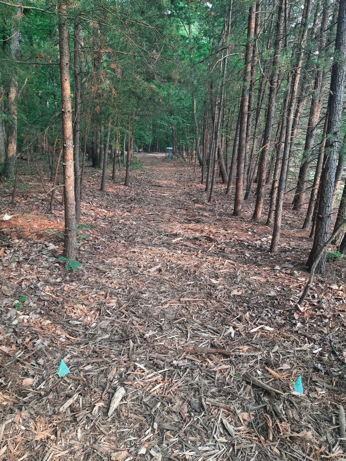 Hole 9 Tee