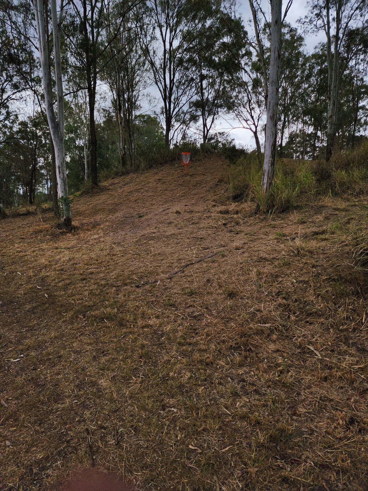 Course photo