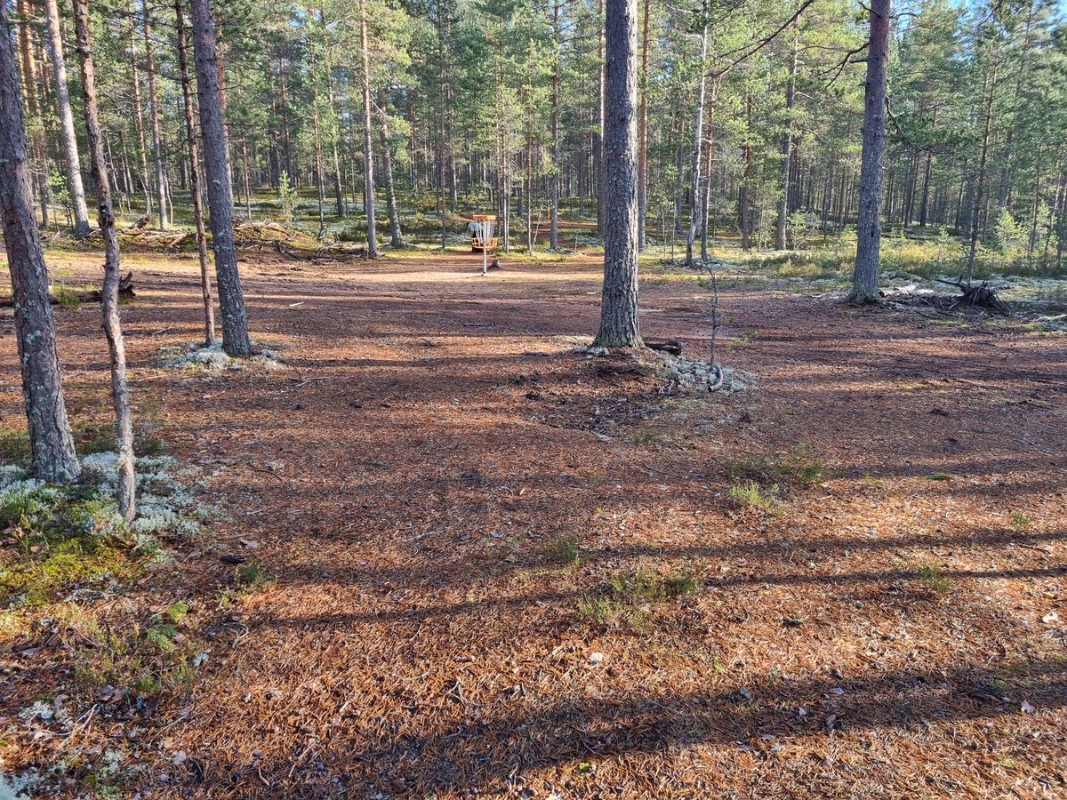 Korinäkymä