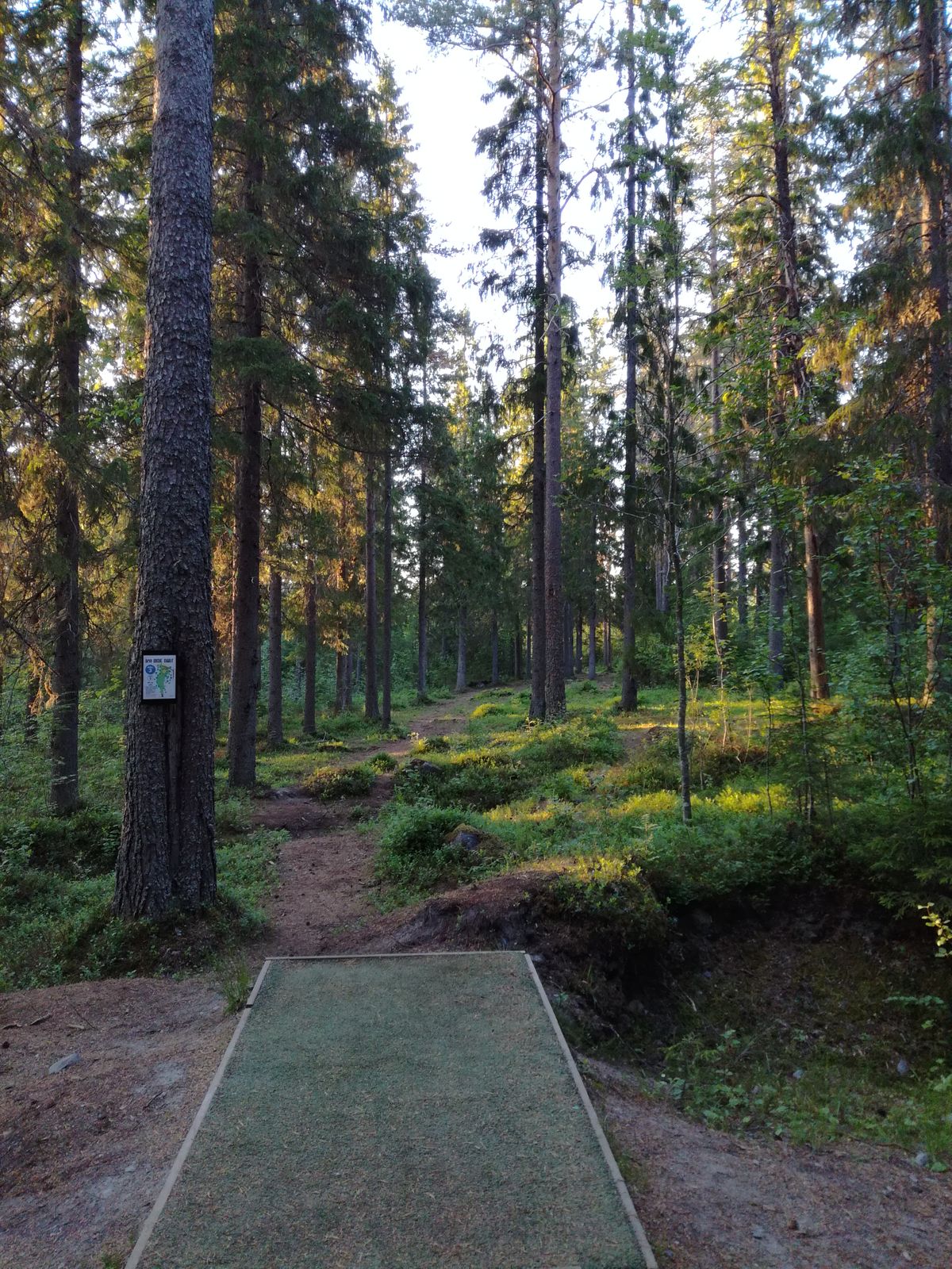 Hole 3 on the new/black layout.
