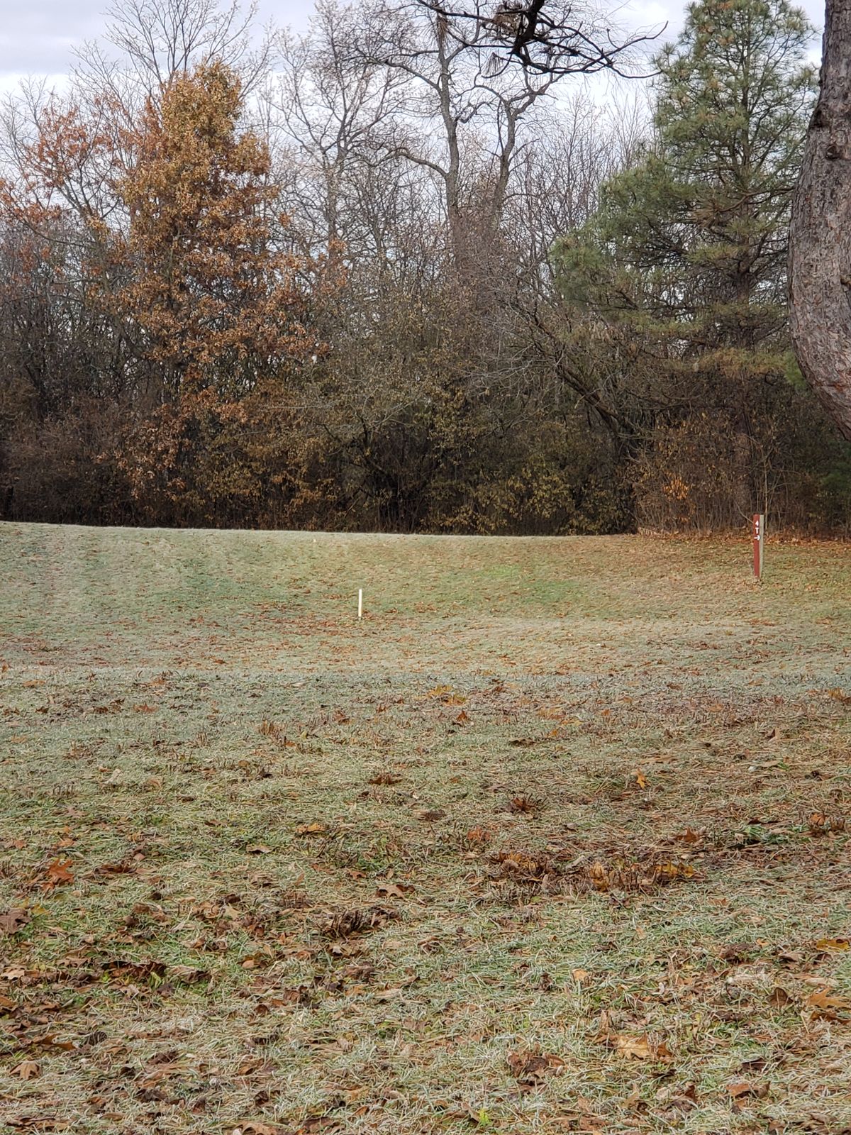 Hole 3