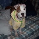 User avatar image