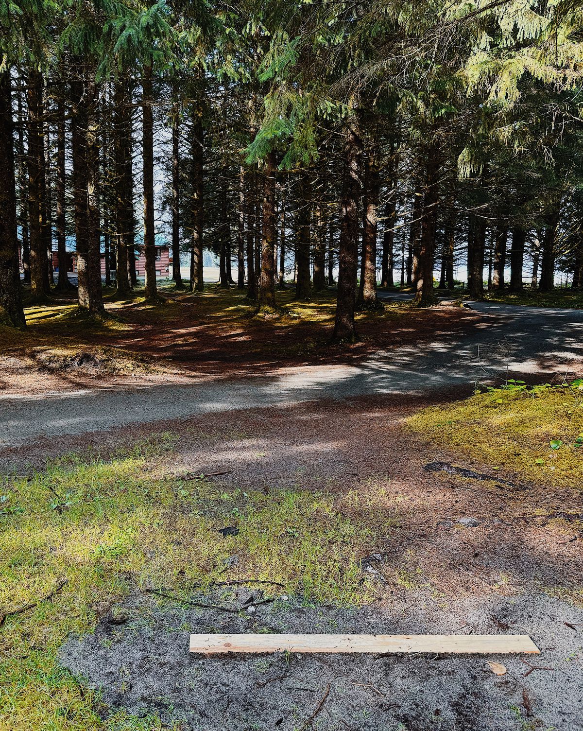 Hole 8 Tee Pad