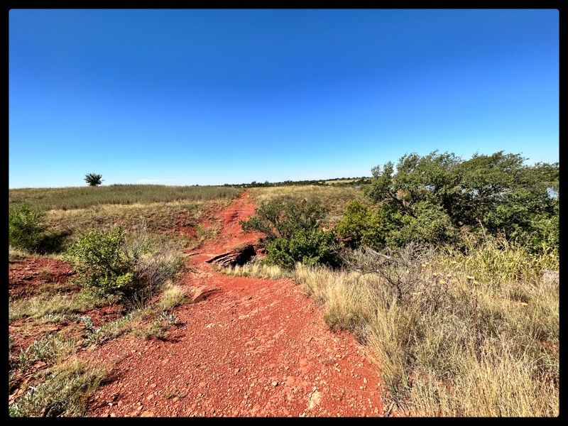 Path/Fairway to 14 basket